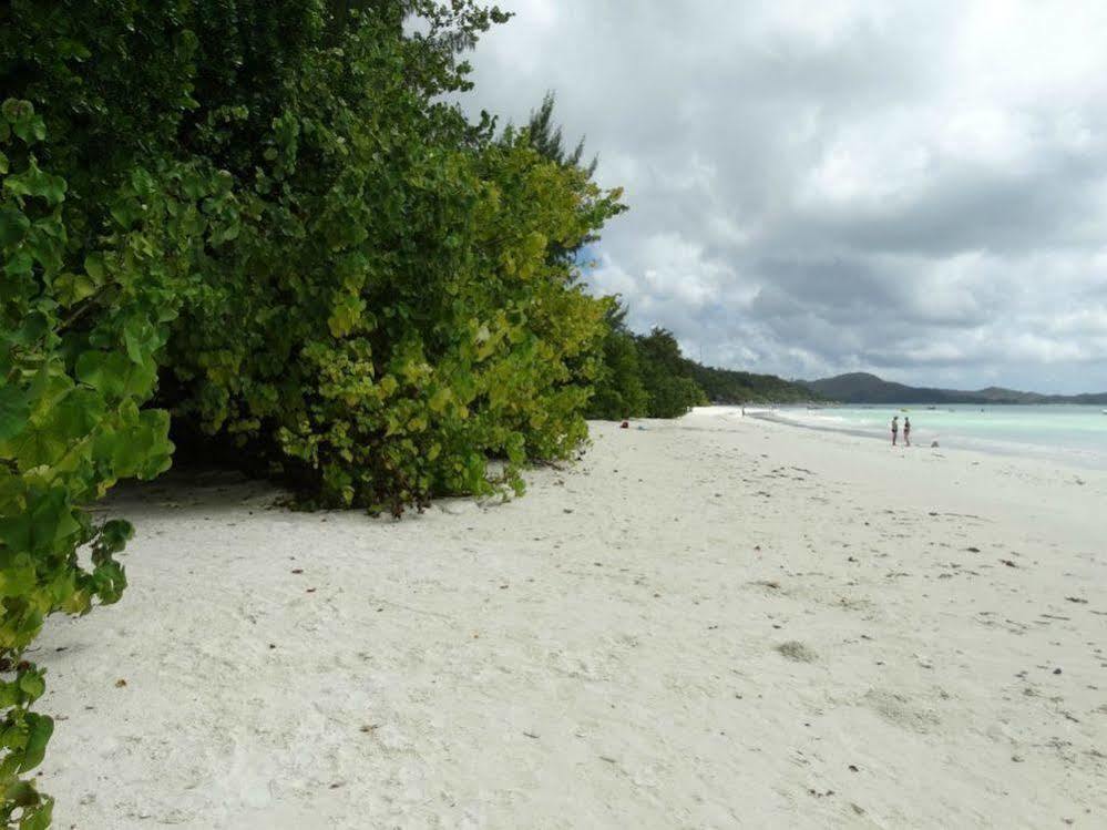 Cote D'Or Chalets Anse Volbert Village  Bagian luar foto